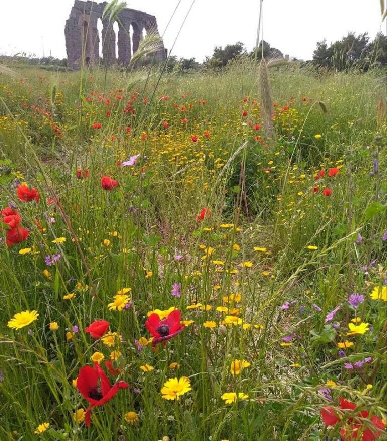 Il parco degli Acquedotti romani - laboratorio104