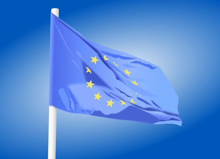 european flag, european elections, europe