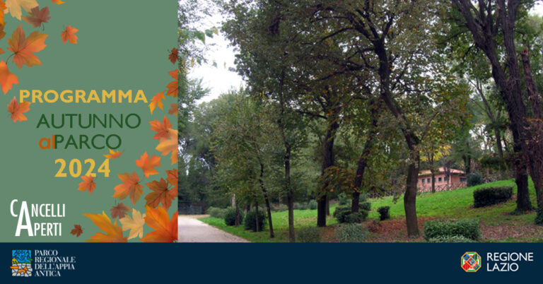 Parco Autunno 2024