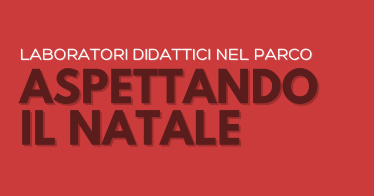 In previsione del Natale il Servizio Educativo del Parco Archeologico dell’Appia Antica propone delle attività didattiche dedicate alla scoperta del Parco da parte dei più piccoli.