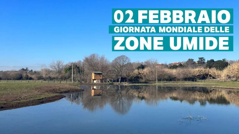 Giornata Mondiale Zone Umide 2025, gli eventi del Parco Regionale dell’Appia Antica