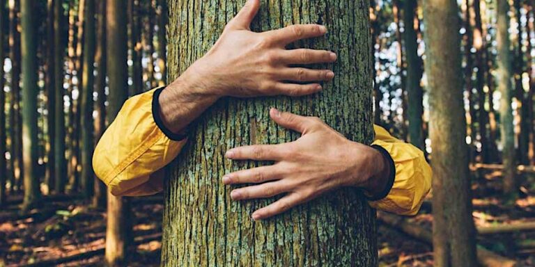 Il percorso proposto offre numerosi spunti naturalistici, approfondendo anche il tema del “forest bathing”, noto come “bagno di foresta”.